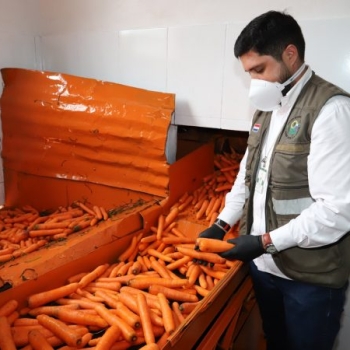 La primera exportación de zanahorias a la Argentina se realiza con certificados de origen emitidos por la CNCSP